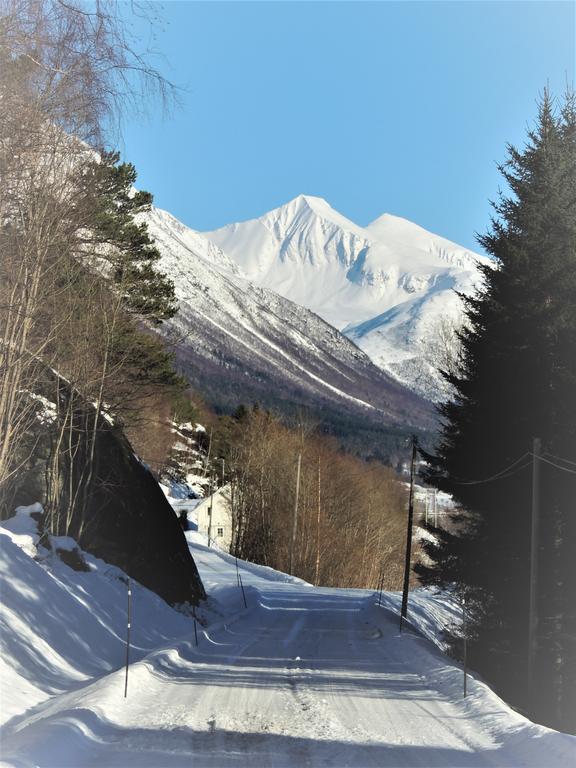 Tindelykke Villa Isfjorden Екстериор снимка
